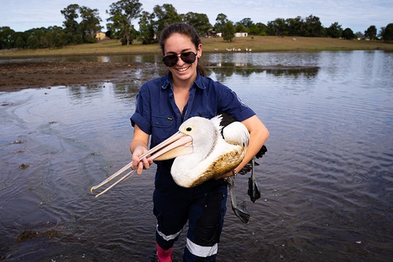 **Ride along with the RSPCA Rescue team** Powered by Givergy